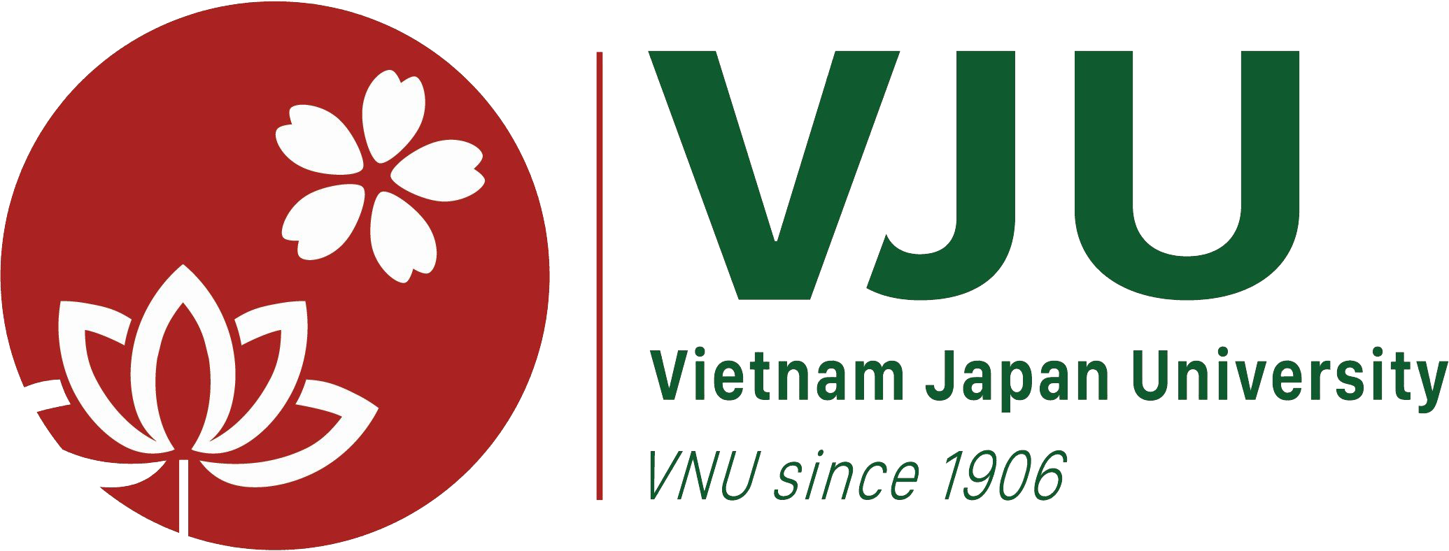 Vietnam Japan University